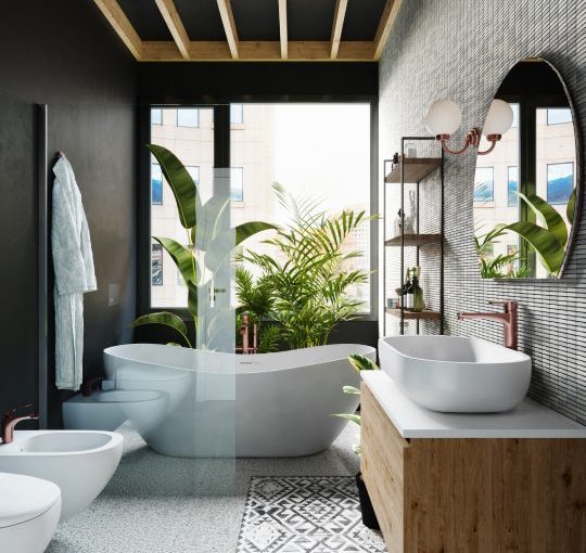 Alpha Tiles Lanka premium bathroom fittings and tile solutions